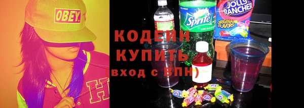 соль ск Алзамай