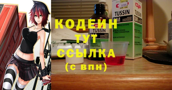 соль ск Алзамай