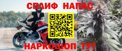 винт Дубна