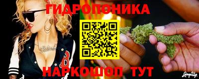 винт Дубна