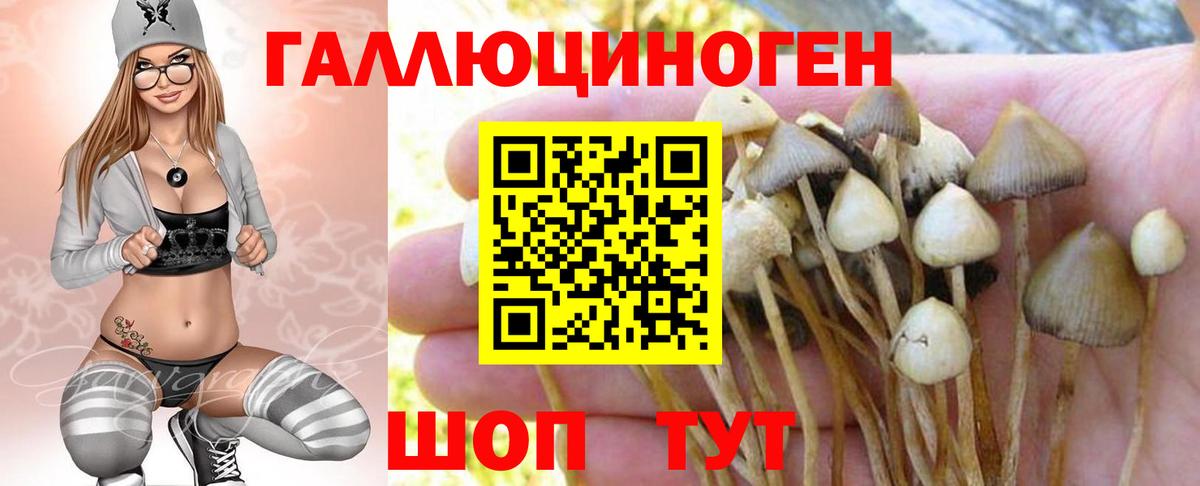Псилоцибиновые грибы мицелий Родники