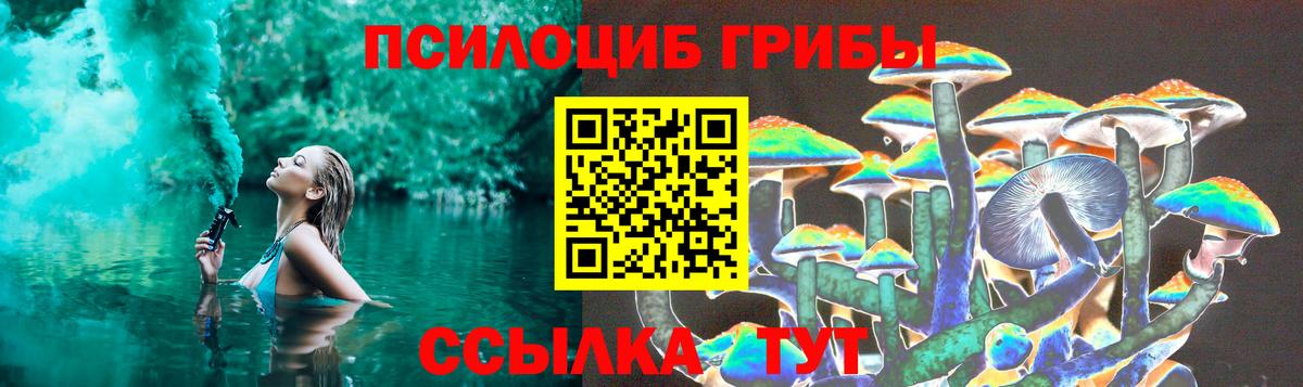 хочу наркоту  Вход с VPN  Родники  Псилоцибиновые грибы Psilocybe 